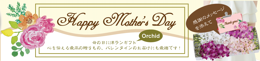 Mother's Day gift 母の日ギフト