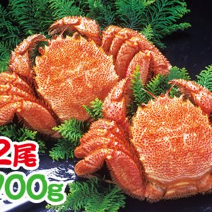 Kegani Crab 毛ガニ